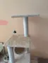 Нова котешка катерушка, снимка 5