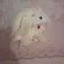 Плюшени Играчки, снимка 6