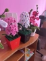 Ръчно изработени Цветя , снимка 1