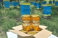 Био Пчелен Мед Акация, снимка 2