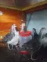Пуйчета на 1,5 месеца, снимка 1