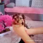Свободно женско йорки, снимка 4