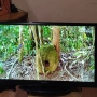 32" телевизор Sang, снимка 9