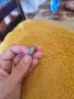 Оригинален сребърен пръстен Pandora Signature Logo Pavé & Beads – размер 50, снимка 11