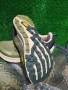 Altra timp 5, снимка 6