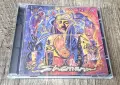 Компакт Дискове - Поп Рок: Santana – Shaman, снимка 1
