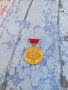 Рядък меда,значка,знак -БАН, снимка 1