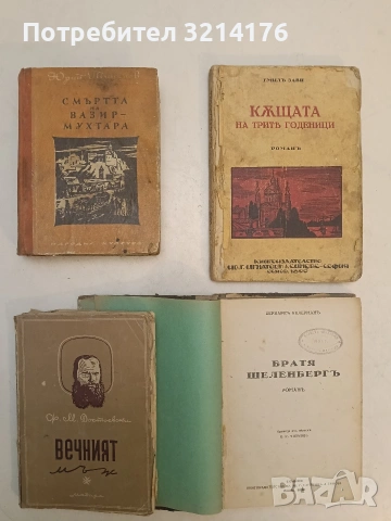 Братя Шеленбергъ - Бернхард Келерман , снимка 2 - Художествена литература - 54280309