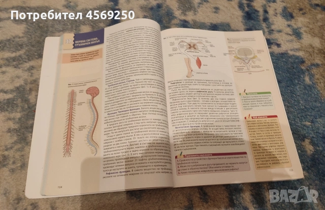 Учебник по Биология и здравно образование за 9. клас (Профилирано образование), снимка 3 - Учебници, учебни тетрадки - 54743461