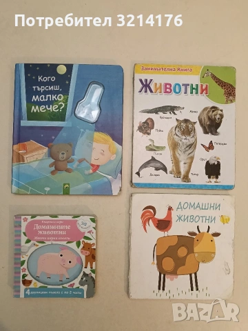 Кого търсиш, малко мече? - Никола Бергер (Отлично състояние)