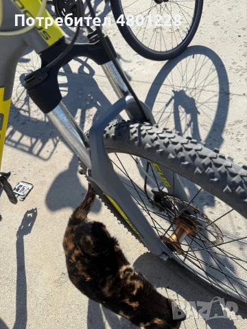 Колело focus fat boy grey and yellow , снимка 9 - Велосипеди - 54240776