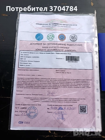 Продавам немска овчарка , снимка 5 - Немска овчарка - 54721940