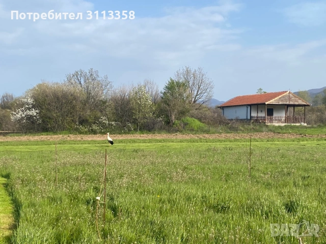 Парцел в село Долнослав, снимка 2 - Парцели - 54198797