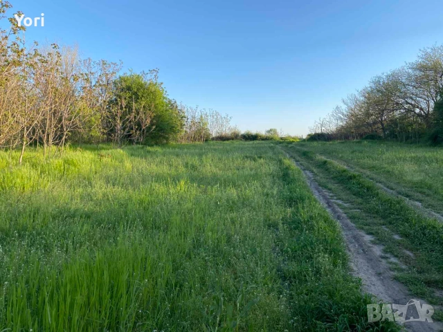 Продава се двор в гр.Козлодуй, снимка 9 - Парцели - 54331540