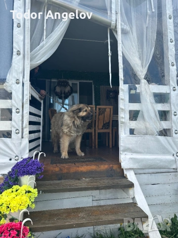 Бунгало ,,Dream Come True”, снимка 17 - Почивки на море - 53818478