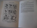 Книга"Essential english for students-Book2-C.Eckersley"-248с, снимка 7