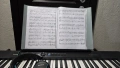 Синтезатор Casio CT-S300+Педал ALESIS ASP-2+Слушалки SONY MDR-V55/ПОДАРЪК/, снимка 5
