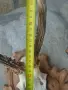 Трофей от сръндак., снимка 12