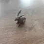 Бронзов заек малък, снимка 4