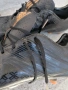 футболни обувки Adidas predator 44. 5, снимка 3