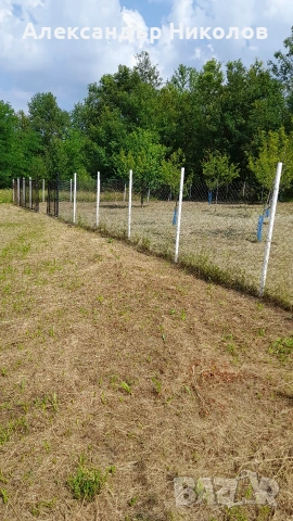 Продава се парцел в село Пецовци, снимка 4 - Парцели - 55091766