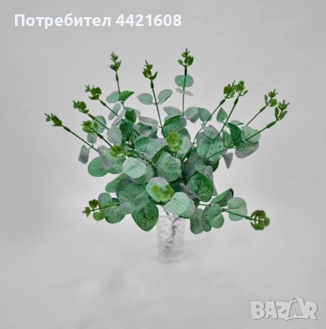 Изкуствен евкалипт – естествена свежест и стил без поддръжка, снимка 4 - Изкуствени цветя - 54947916