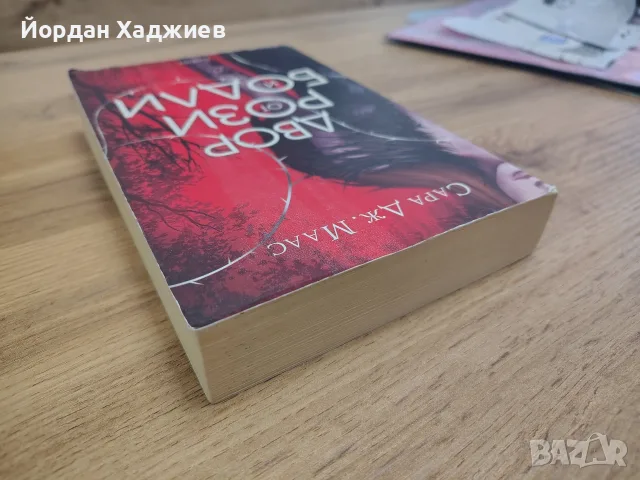 Двор от рози и бодли - Сара Дж. Маас, снимка 2 - Художествена литература - 55646208