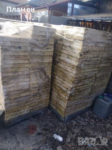 форми за разсад, снимка 3 - Разсади - 54274153