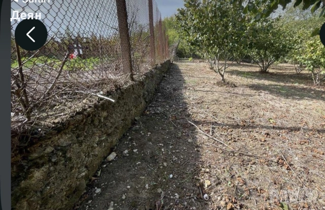 Лешникова градина лешници Hazelnut garden, снимка 3 - Парцели - 55002177