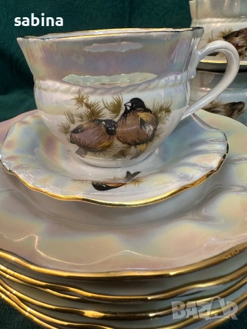 Руски порцелан-нов рядък сервиз Птици, Коростен, СССР, снимка 6 - Сервизи - 54089690