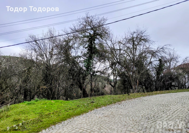 Парцел в с. Дивля, област Перник, снимка 8 - Парцели - 54305864