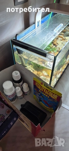 Напълно оборудван аквариум с рибки и аксесоари, снимка 2 - Аквариуми - 53957093