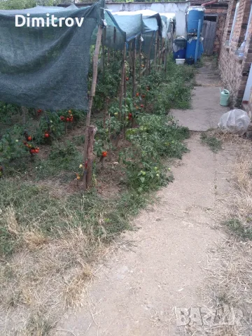 ПродаваМ къща/вила в Телиш на основата ул.на 250,300м.от ЖП ГАРАТА, снимка 16 - Къщи - 55434176