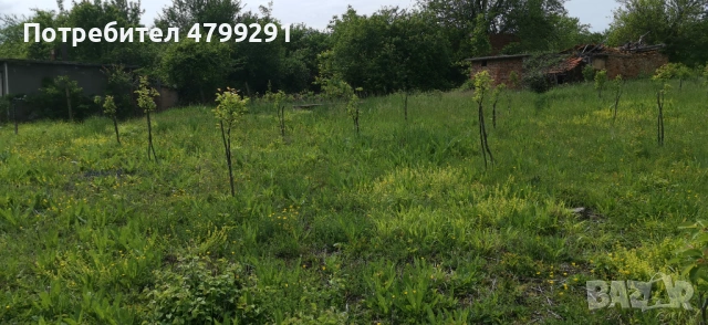ПРОДАВА УПИ 700 КВ В СЕЛО БАТУЛЦИ, снимка 8 - Парцели - 54579634