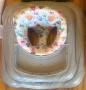 Уокър Fisher Price/Проходилка Moni, снимка 2