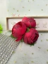 Китка 3 червени божура, снимка 6