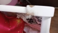 Детско дървено легълце с вградена люлка и матрачето ARBOR BABY, снимка 5