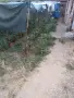 ПродаваМ къща/вила в Телиш на основата ул.на 250,300м.от ЖП ГАРАТА, снимка 16