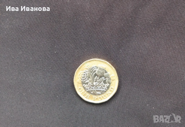 Английската кралица 1 паунд, снимка 2 - Нумизматика и бонистика - 54879643