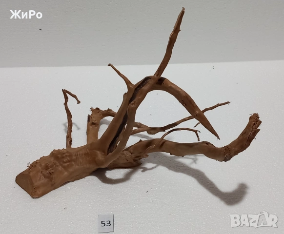 Корен от Азалия /декорация/ 53