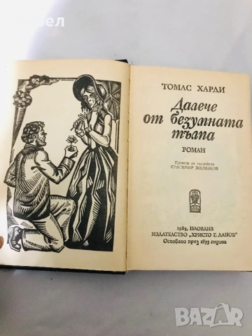 Томас Харди - Далеч от безумната тълпа Роман, снимка 3 - Художествена литература - 54630399
