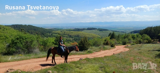 Уроци по конна езда, снимка 3 - Други курсове - 54533126