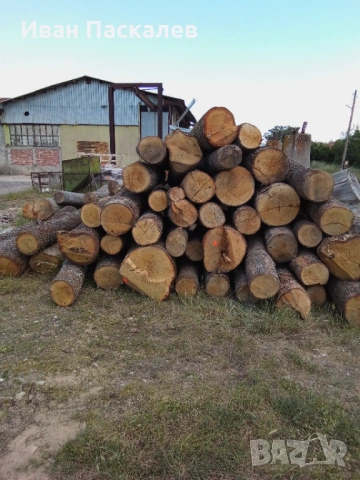 Дьбови и букови янове, снимка 3 - Дърводелски услуги - 54734424
