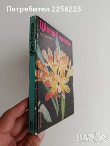 Цветята в стаята, снимка 7 - Специализирана литература - 54882092