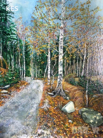Сняг през есента на Витоша