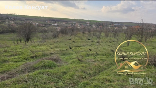 Парцел със стара къща село Георги Добрево, снимка 3 - Къщи - 54374894