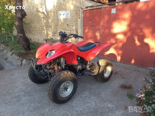 atv lifan 250 
