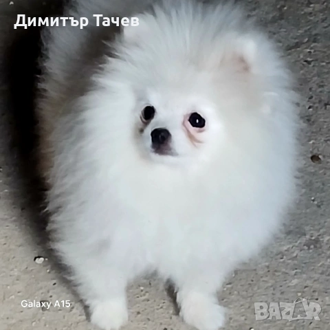 Уникално момче