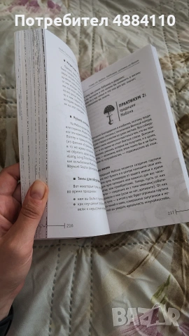 Круг года. Виканские праздники, их атрибуты и значение, снимка 2 - Чуждоезична литература - 55258481