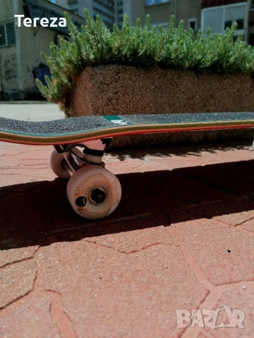 Скейтборд Birdhouse Tony Hawk stage 3, снимка 4 - Скейтборд, ховърборд, уейвборд - 55170908
